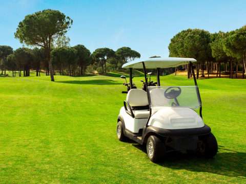 Golf cart in fairway of golf course with green grass field with blue sky and pine trees